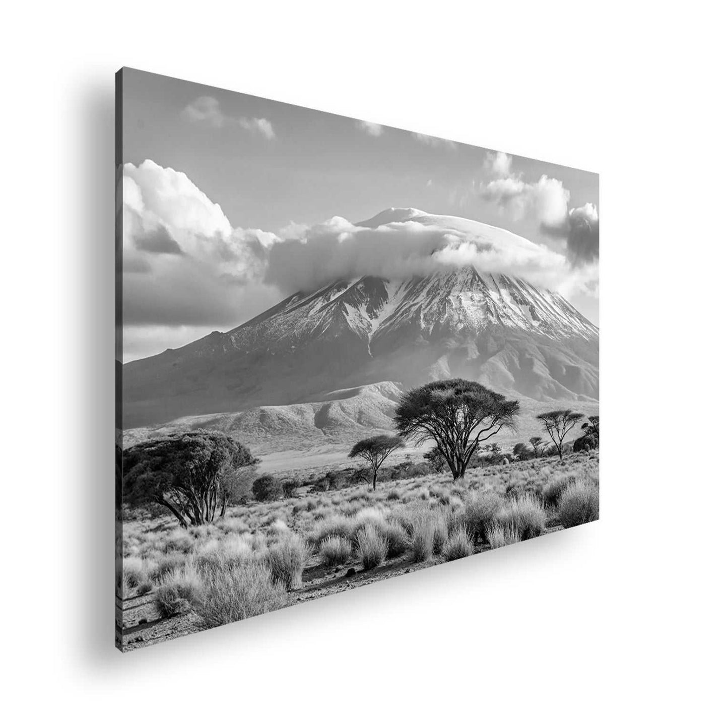 Hauptbild Schwarz & Weiß Standart