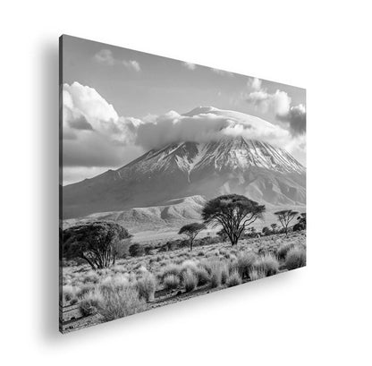 Hauptbild Schwarz & Weiß Standart