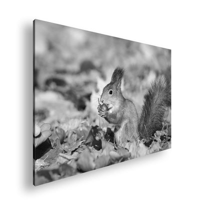 Hauptbild Schwarz & Weiß Standart