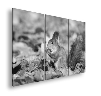 Hauptbild Schwarz & Weiß 3 Teilig