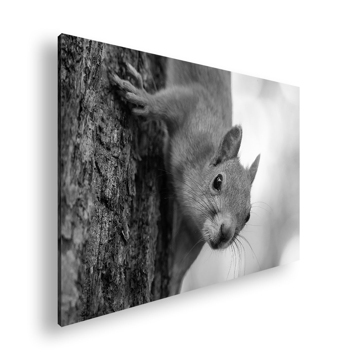 Hauptbild Schwarz & Weiß Standart