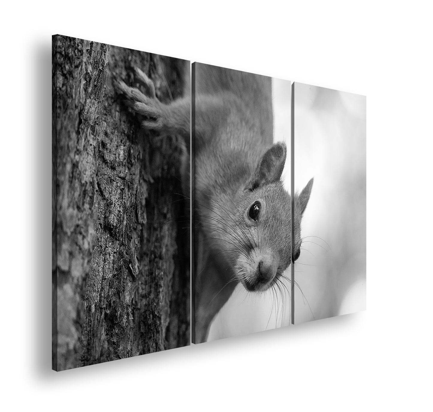 Hauptbild Schwarz & Weiß 3 Teilig