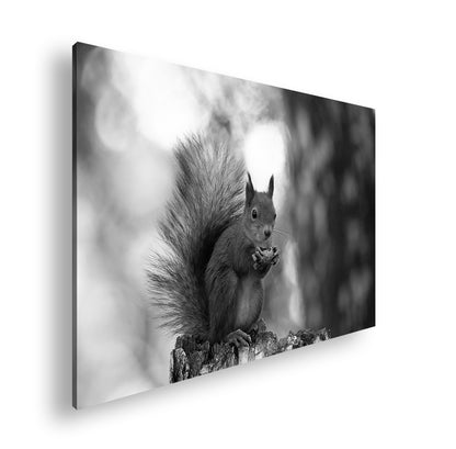 Hauptbild Schwarz & Weiß Standart