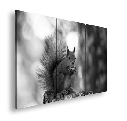 Hauptbild Schwarz & Weiß 3 Teilig