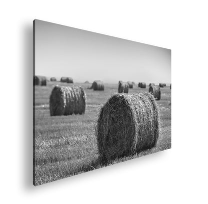 Hauptbild Schwarz & Weiß Standart