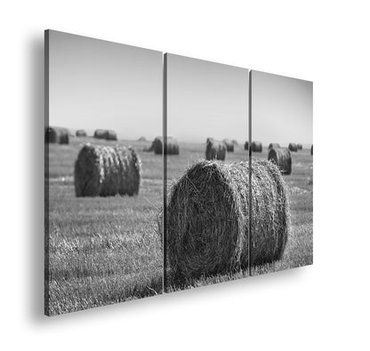 Hauptbild Schwarz & Weiß 3 Teilig