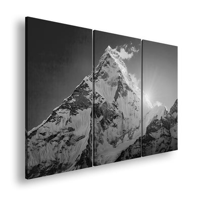 Hauptbild Schwarz & Weiß 3 Teilig