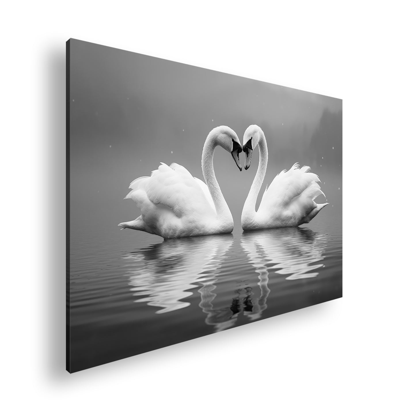 Hauptbild Schwarz & Weiß Standart