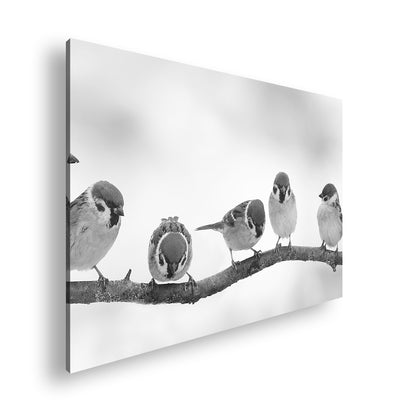 Hauptbild Schwarz & Weiß Standart