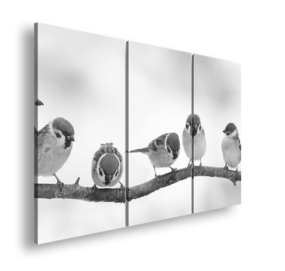 Hauptbild Schwarz & Weiß 3 Teilig