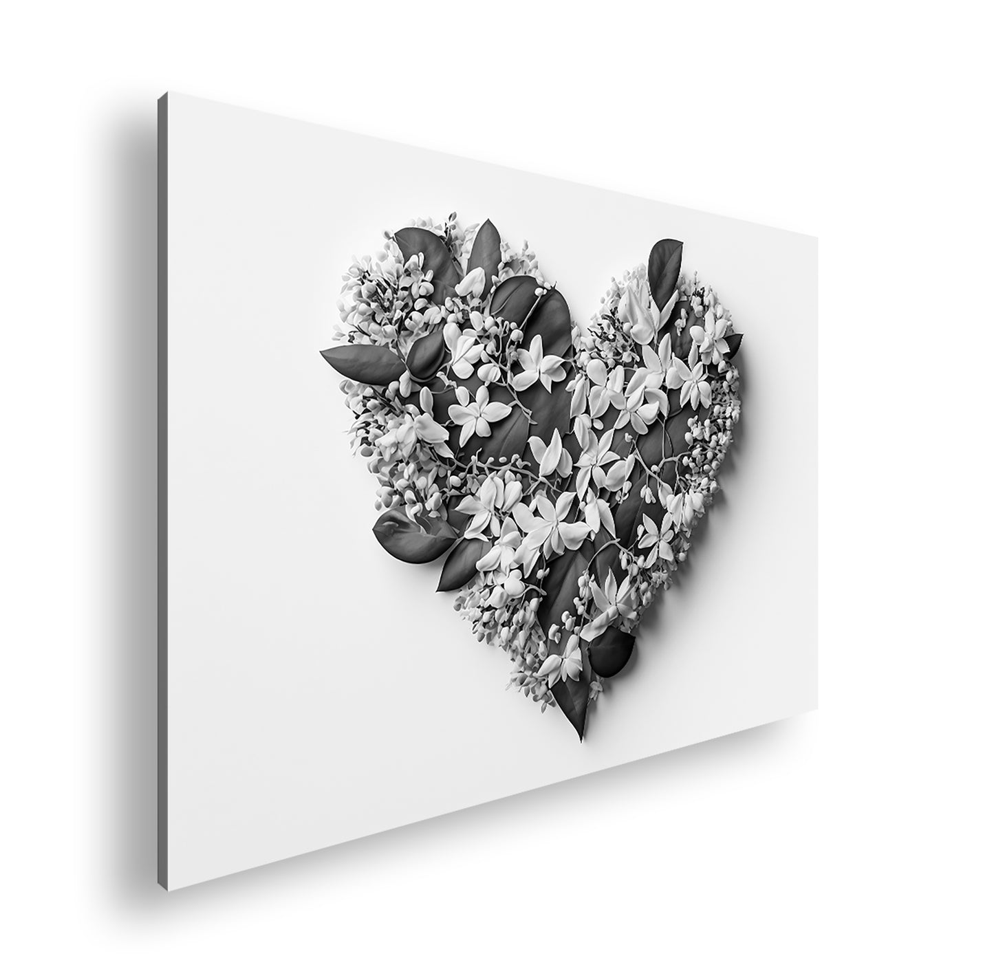 Hauptbild Schwarz & Weiß Standart