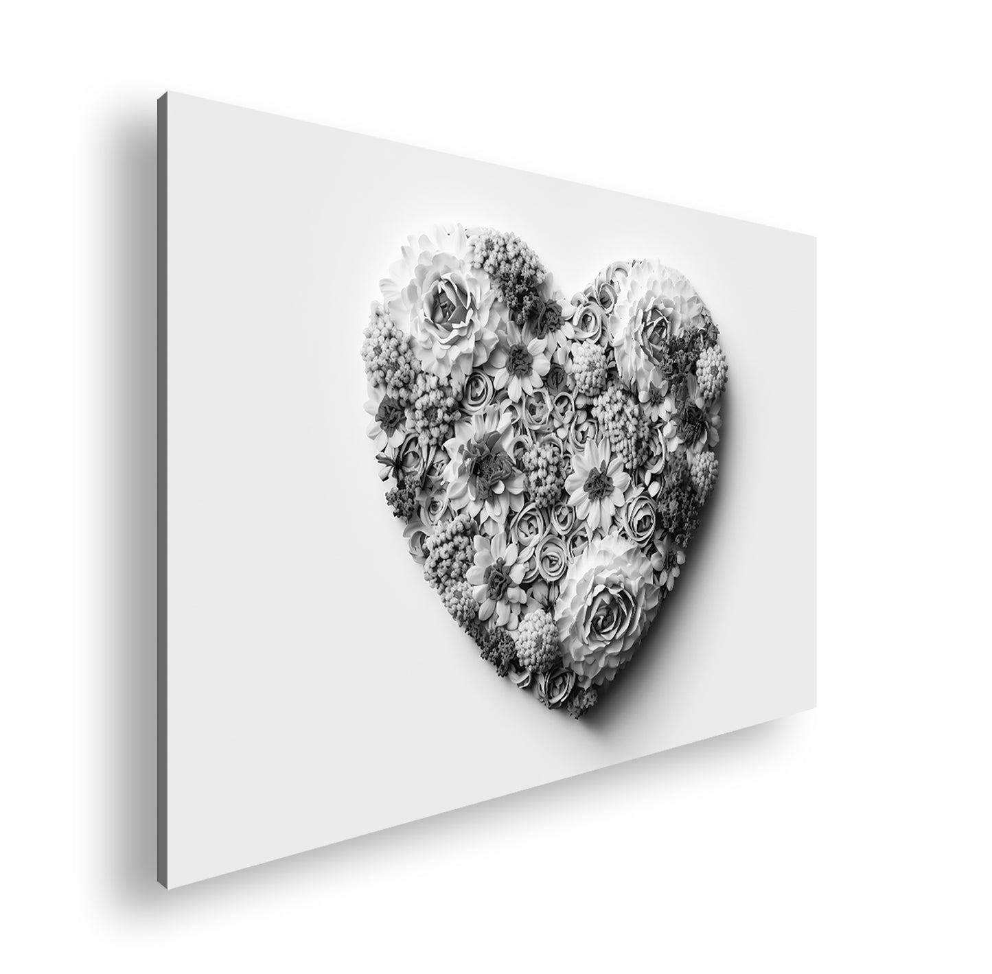 Hauptbild Schwarz & Weiß Standart