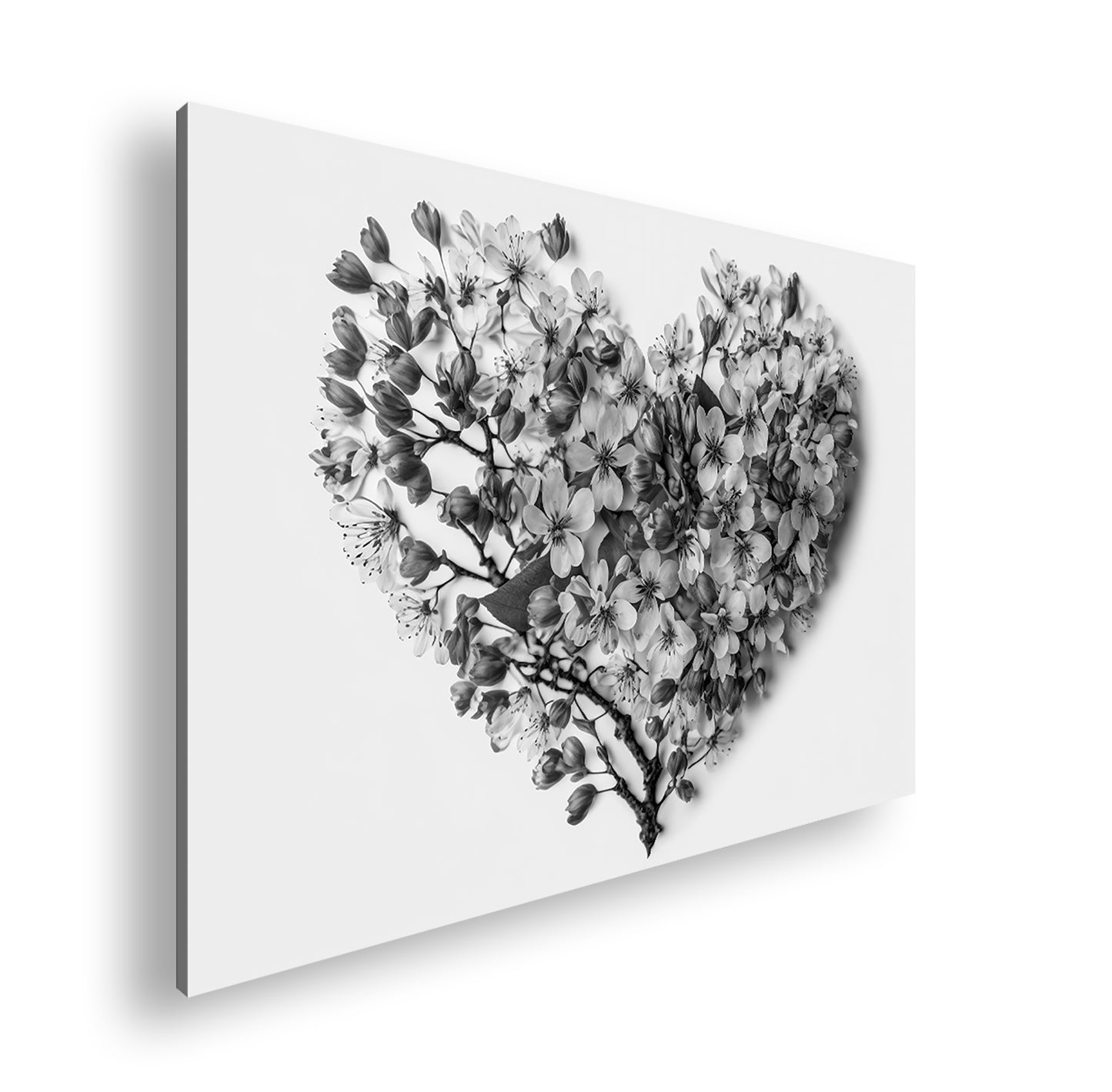 Hauptbild Schwarz & Weiß Standart