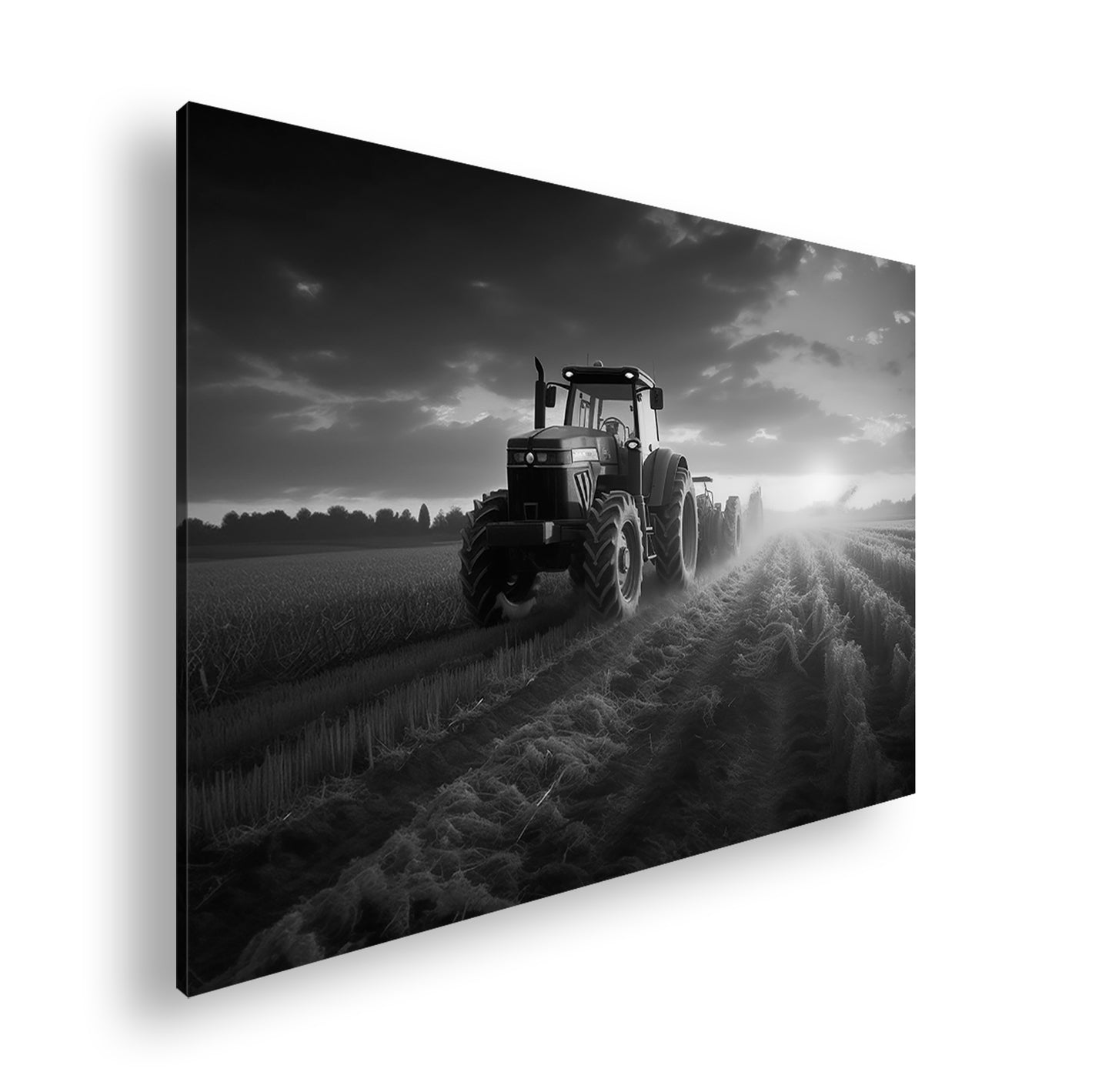 Hauptbild Schwarz & Weiß Standart