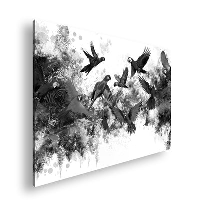 Hauptbild Schwarz & Weiß Standart