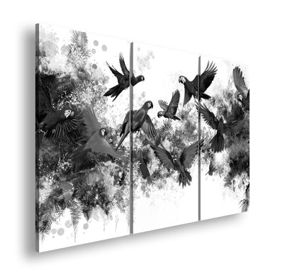 Hauptbild Schwarz & Weiß 3 Teilig