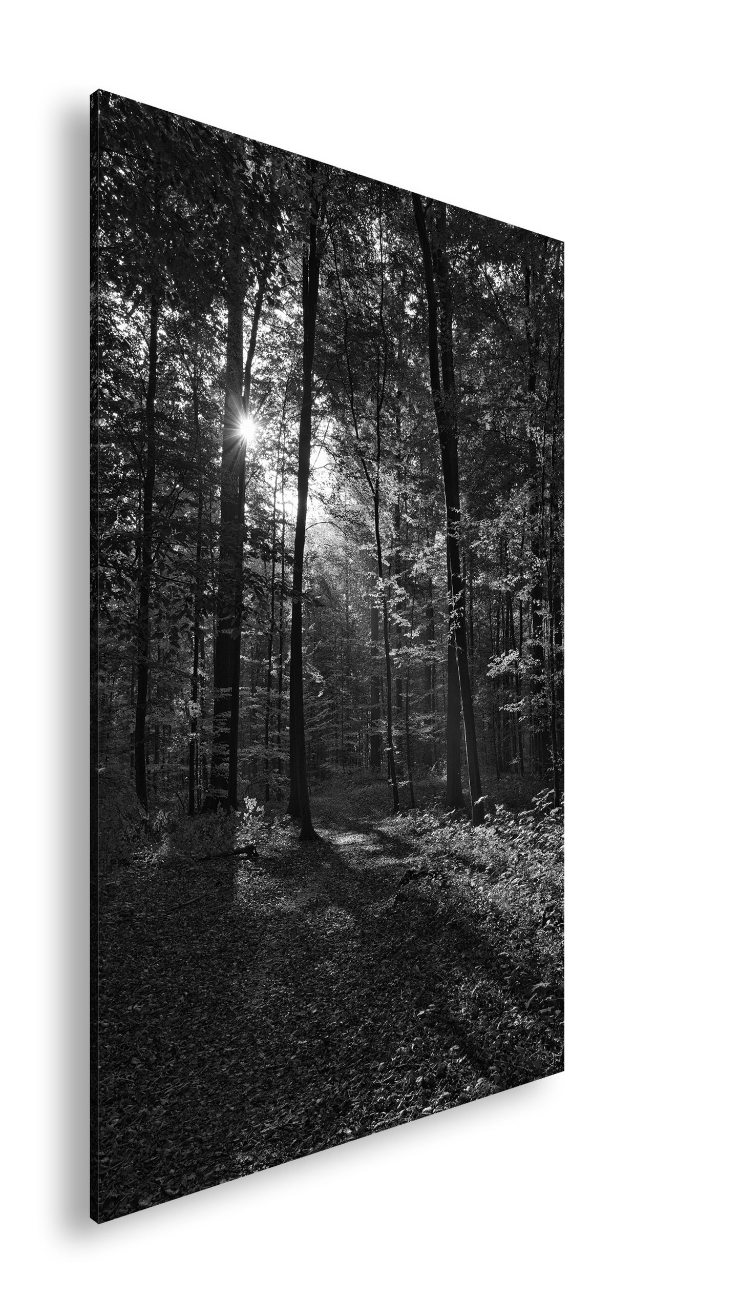 Hauptbild Schwarz & Weiß Standart