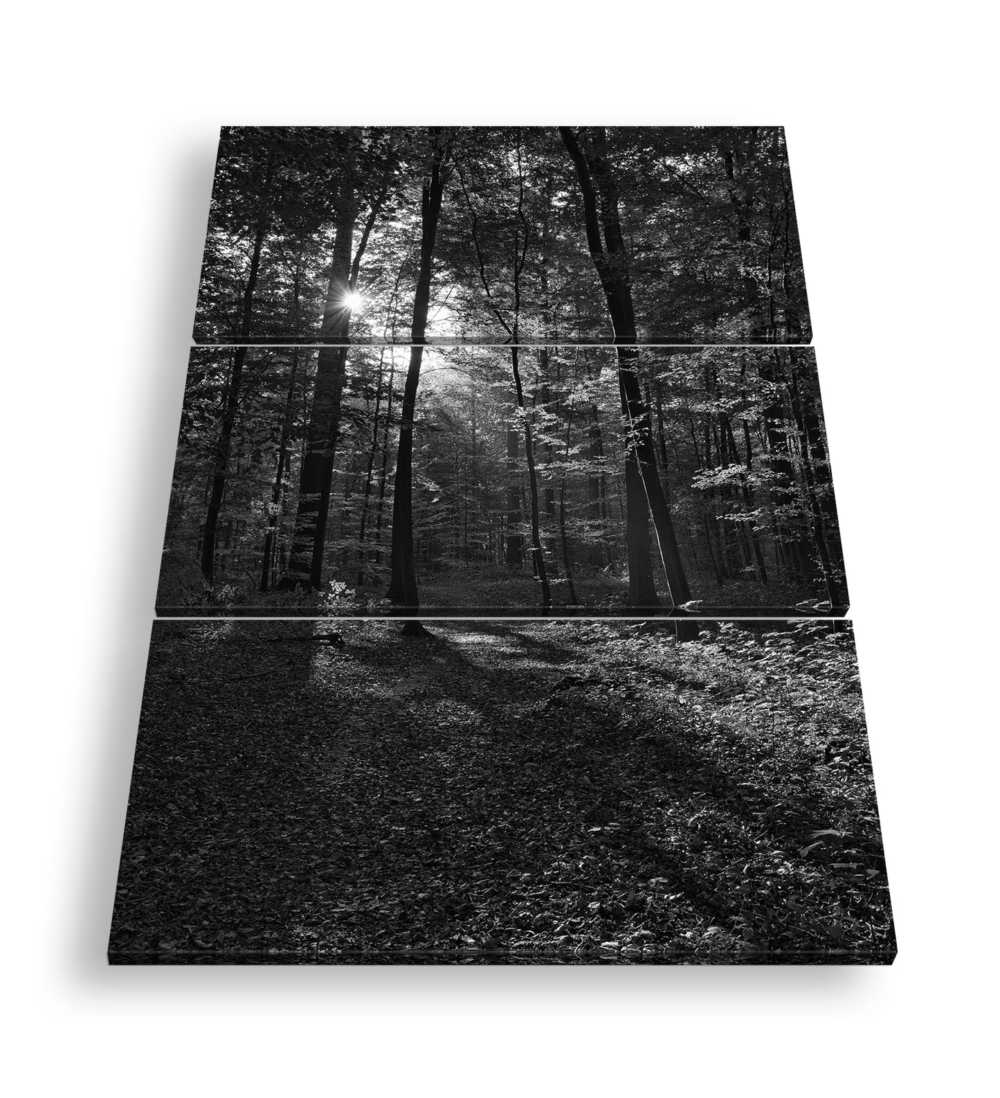 Hauptbild Schwarz & Weiß 3 Teilig