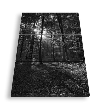 Hauptbild Schwarz & Weiß 3 Teilig