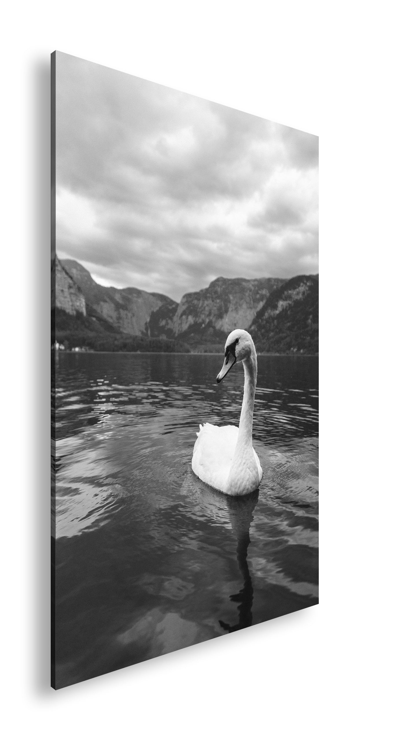 Hauptbild Schwarz & Weiß Standart