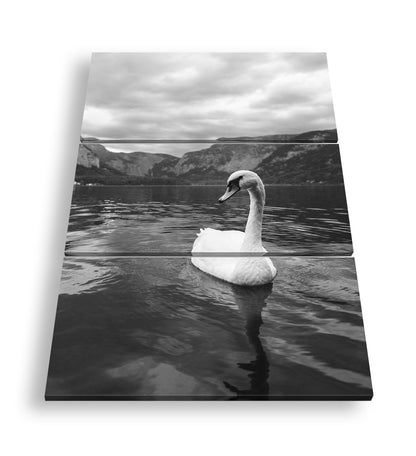 Hauptbild Schwarz & Weiß 3 Teilig