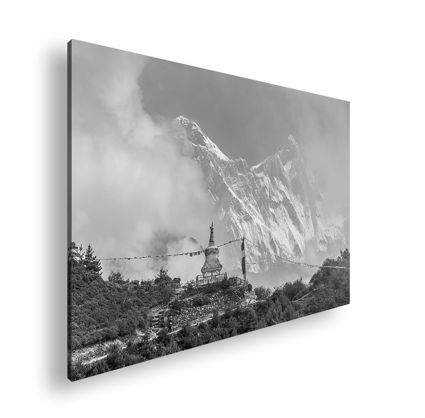 Hauptbild Schwarz & Weiß Standart