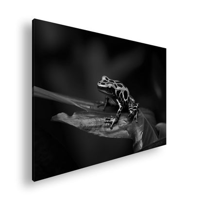 Hauptbild Schwarz & Weiß Standart