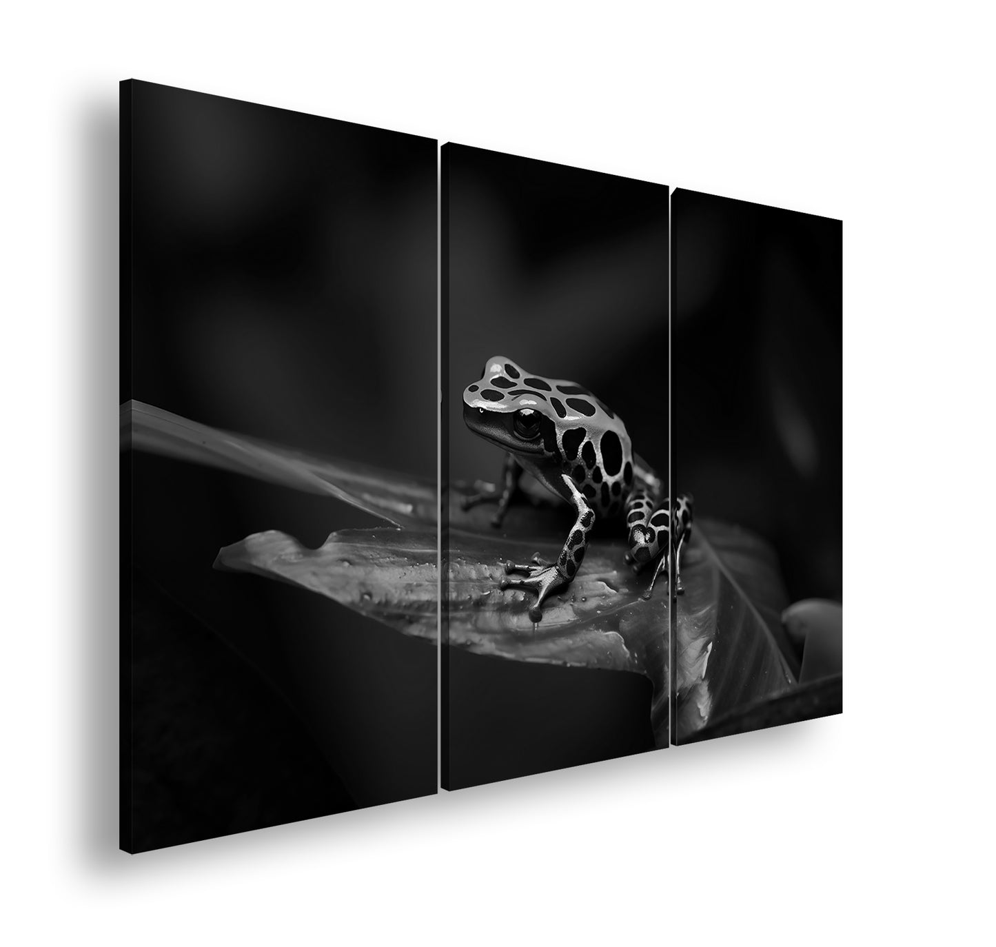 Hauptbild Schwarz & Weiß 3 Teilig