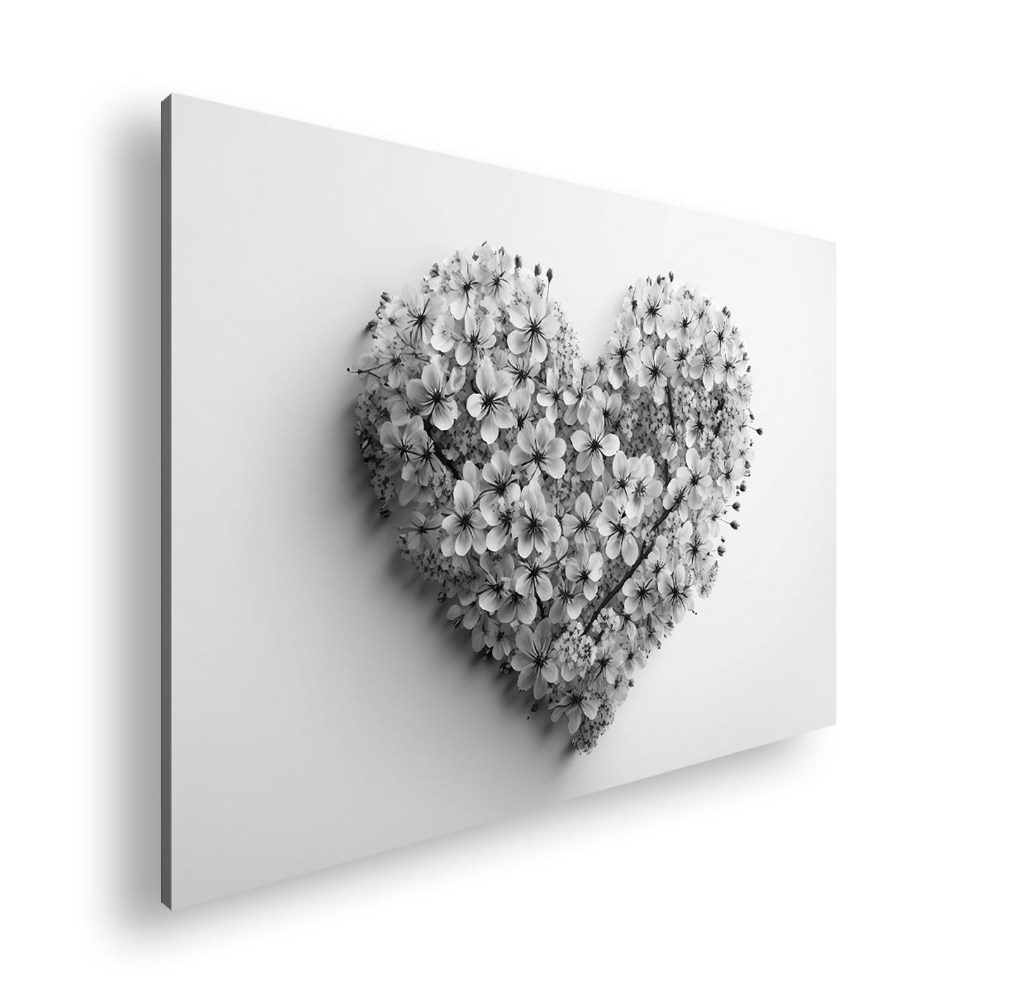 Hauptbild Schwarz & Weiß Standart