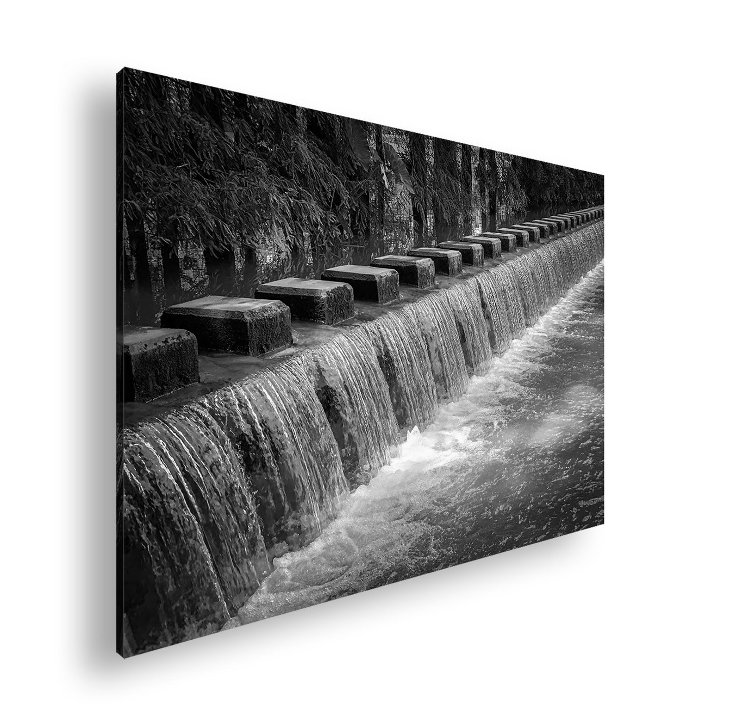 Hauptbild Schwarz & Weiß Standart