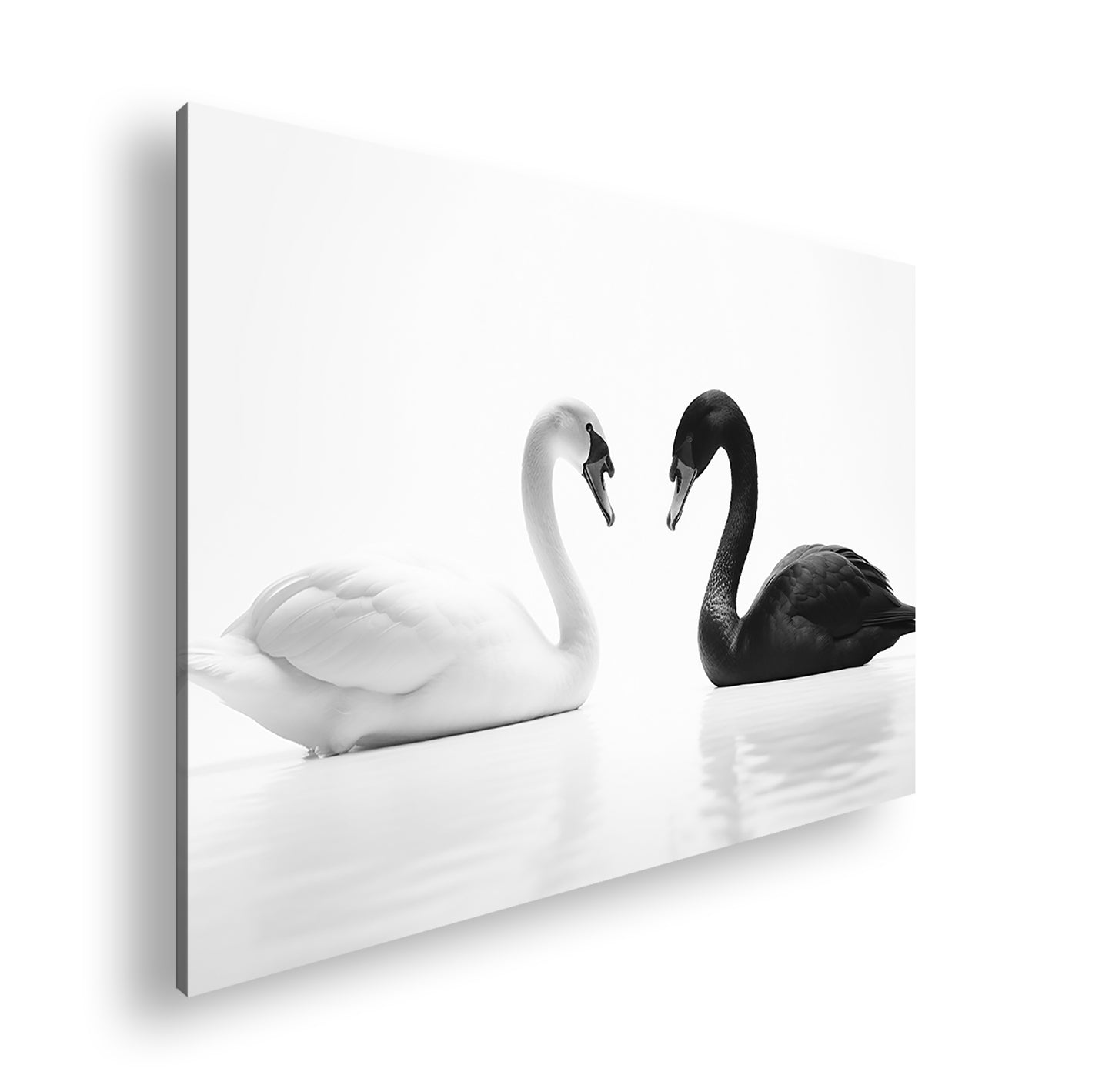 Hauptbild Schwarz & Weiß Standart