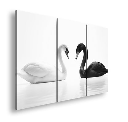 Hauptbild Schwarz & Weiß 3 Teilig