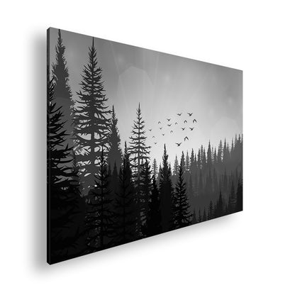 Hauptbild Schwarz & Weiß Standart