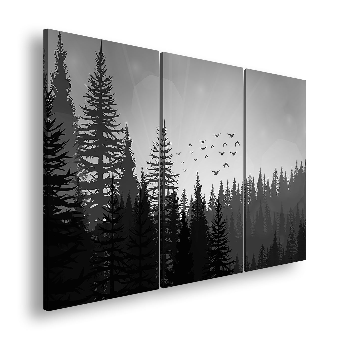 Hauptbild Schwarz & Weiß 3 Teilig