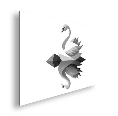 Hauptbild Schwarz & Weiß Standart