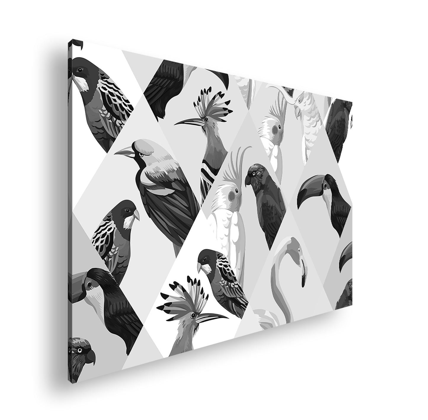 Hauptbild Schwarz & Weiß Standart