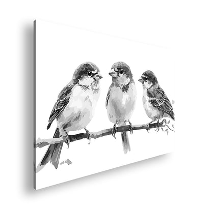 Hauptbild Schwarz & Weiß Standart