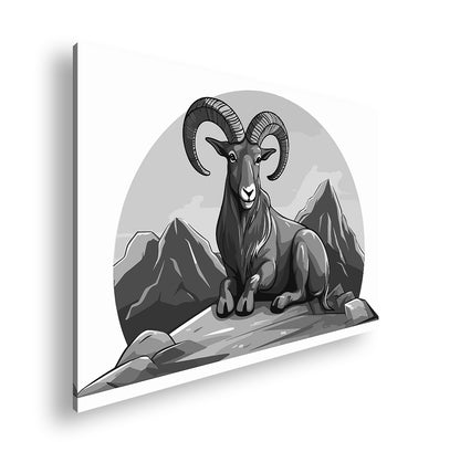 Hauptbild Schwarz & Weiß Standart