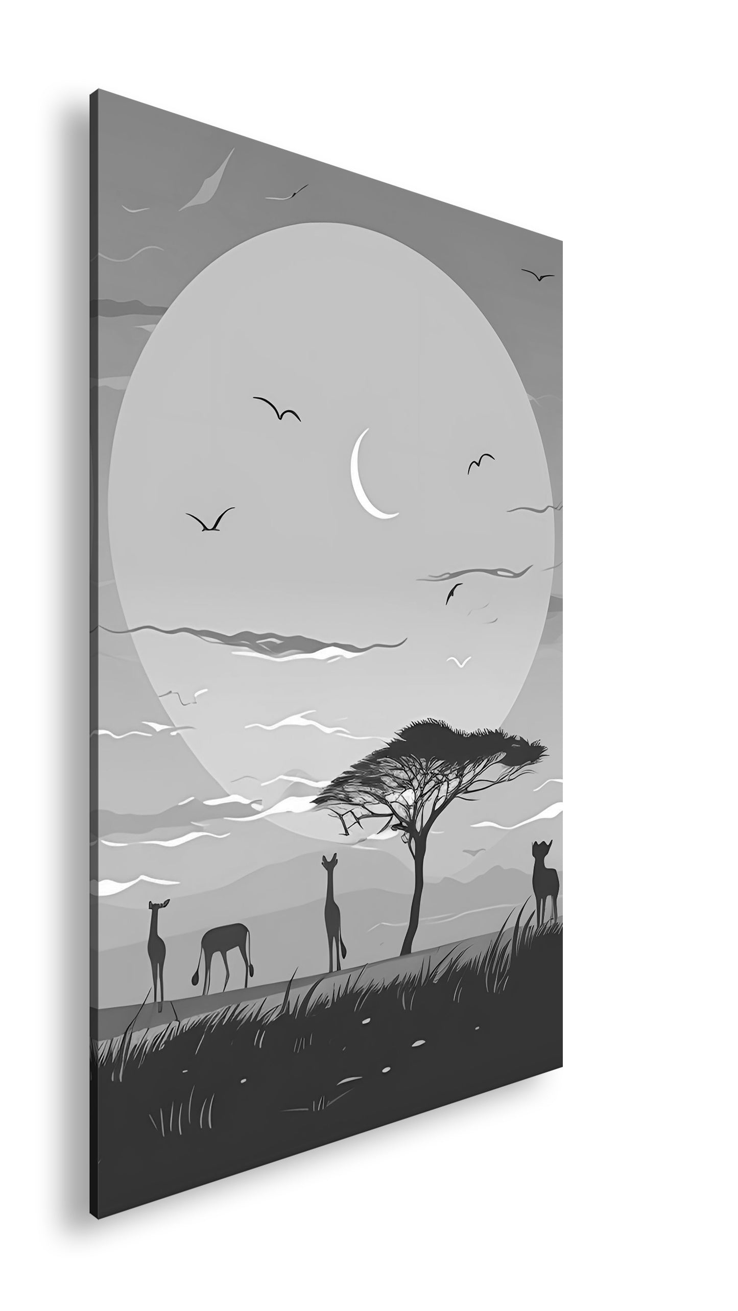 Hauptbild Schwarz & Weiß Standart