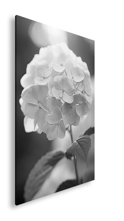 Hauptbild Schwarz & Weiß Standart