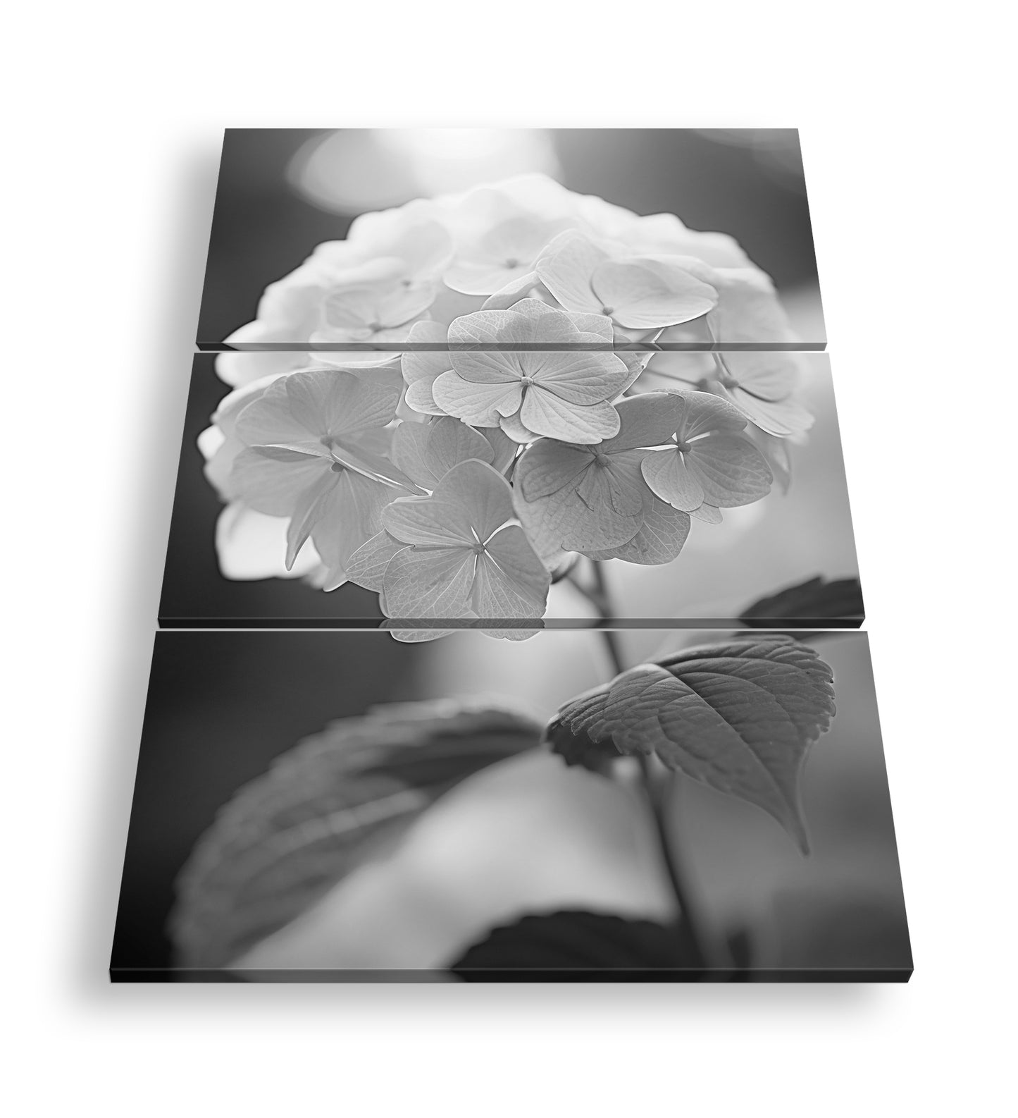 Hauptbild Schwarz & Weiß 3 Teilig