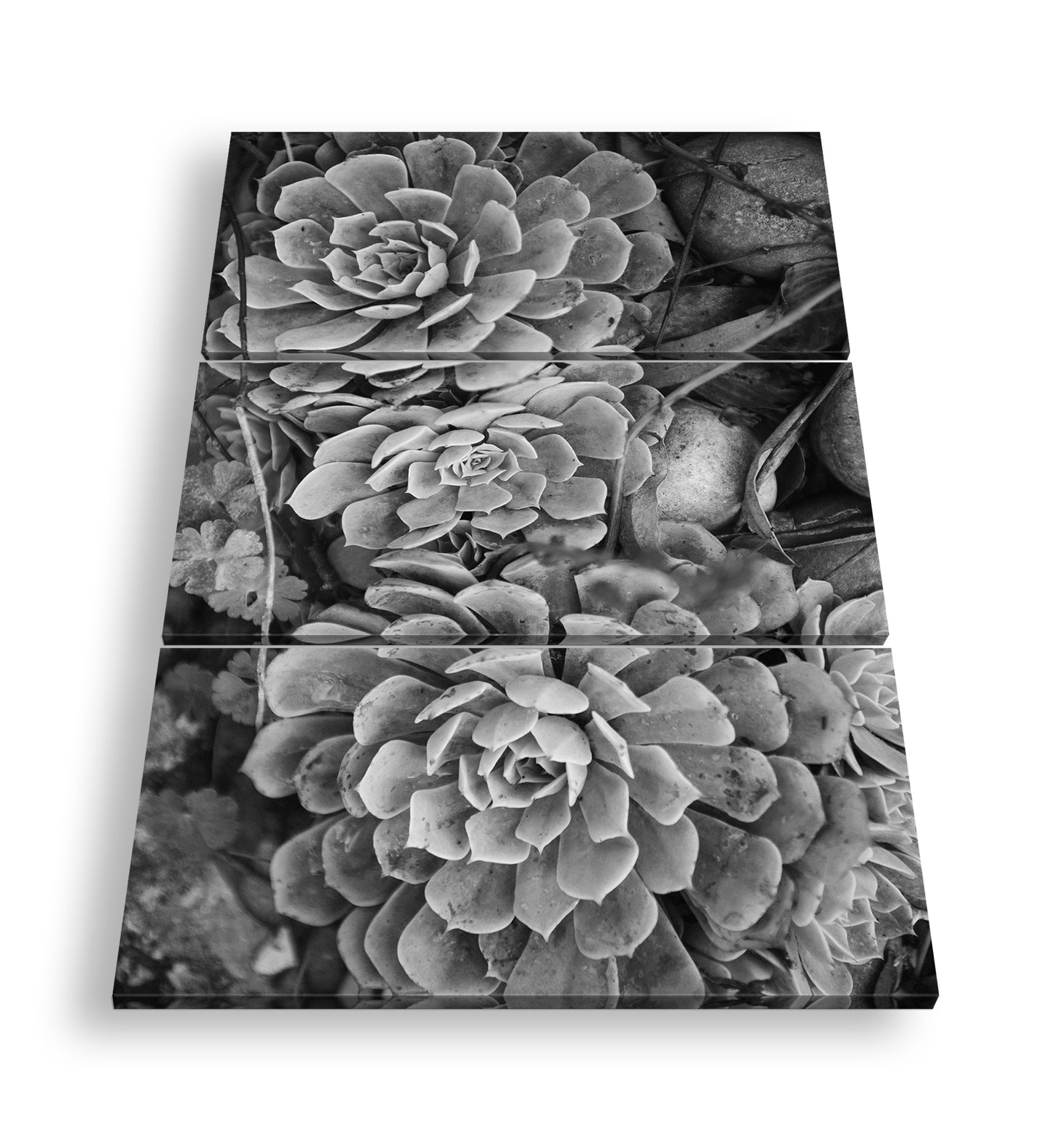 Hauptbild Schwarz & Weiß 3 Teilig