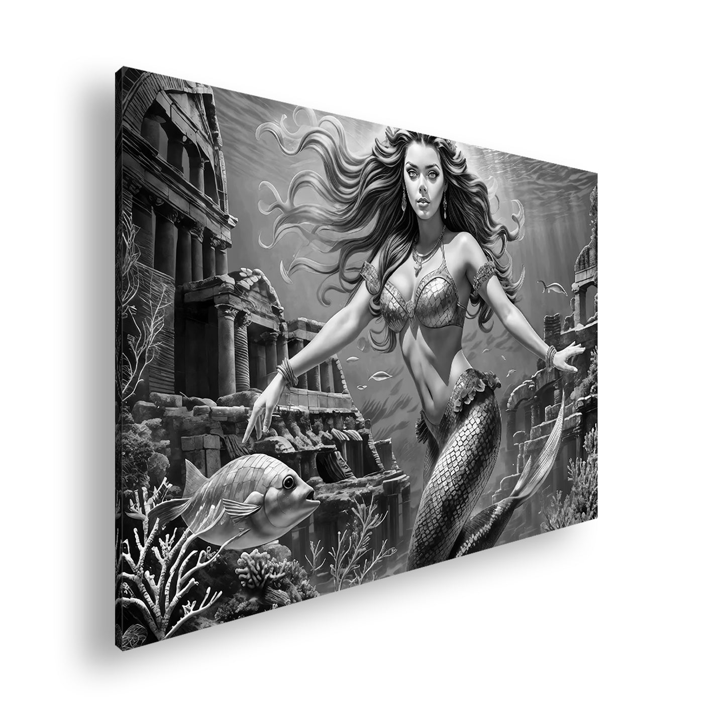 Hauptbild Schwarz & Weiß Standart