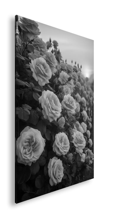 Hauptbild Schwarz & Weiß Standart