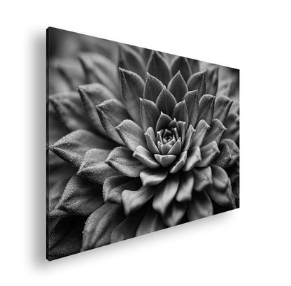 Hauptbild Schwarz & Weiß Standart