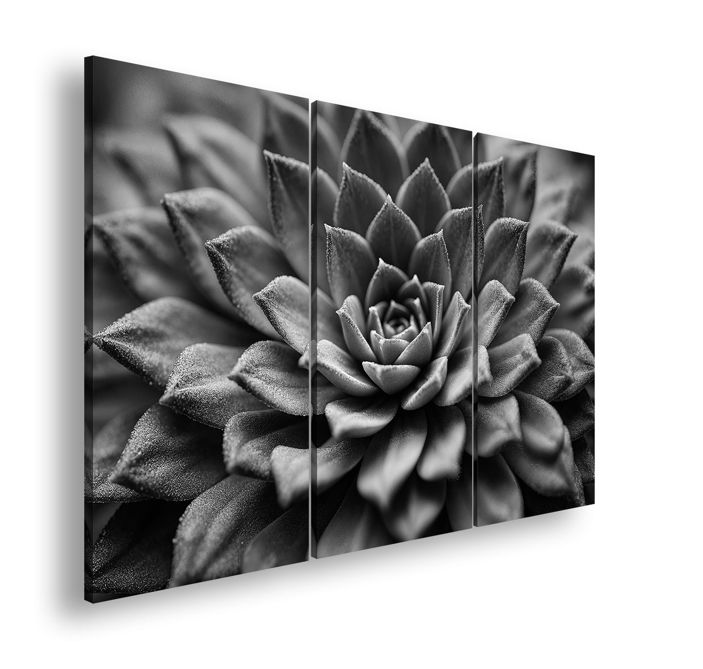 Hauptbild Schwarz & Weiß 3 Teilig