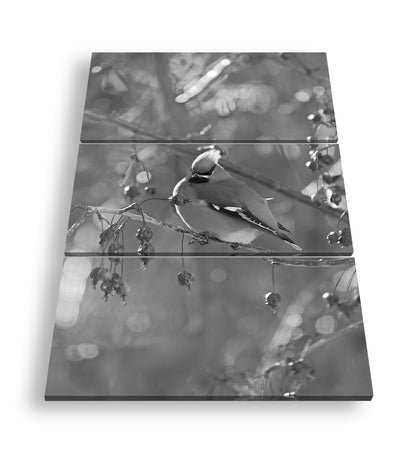 Hauptbild Schwarz & Weiß 3 Teilig