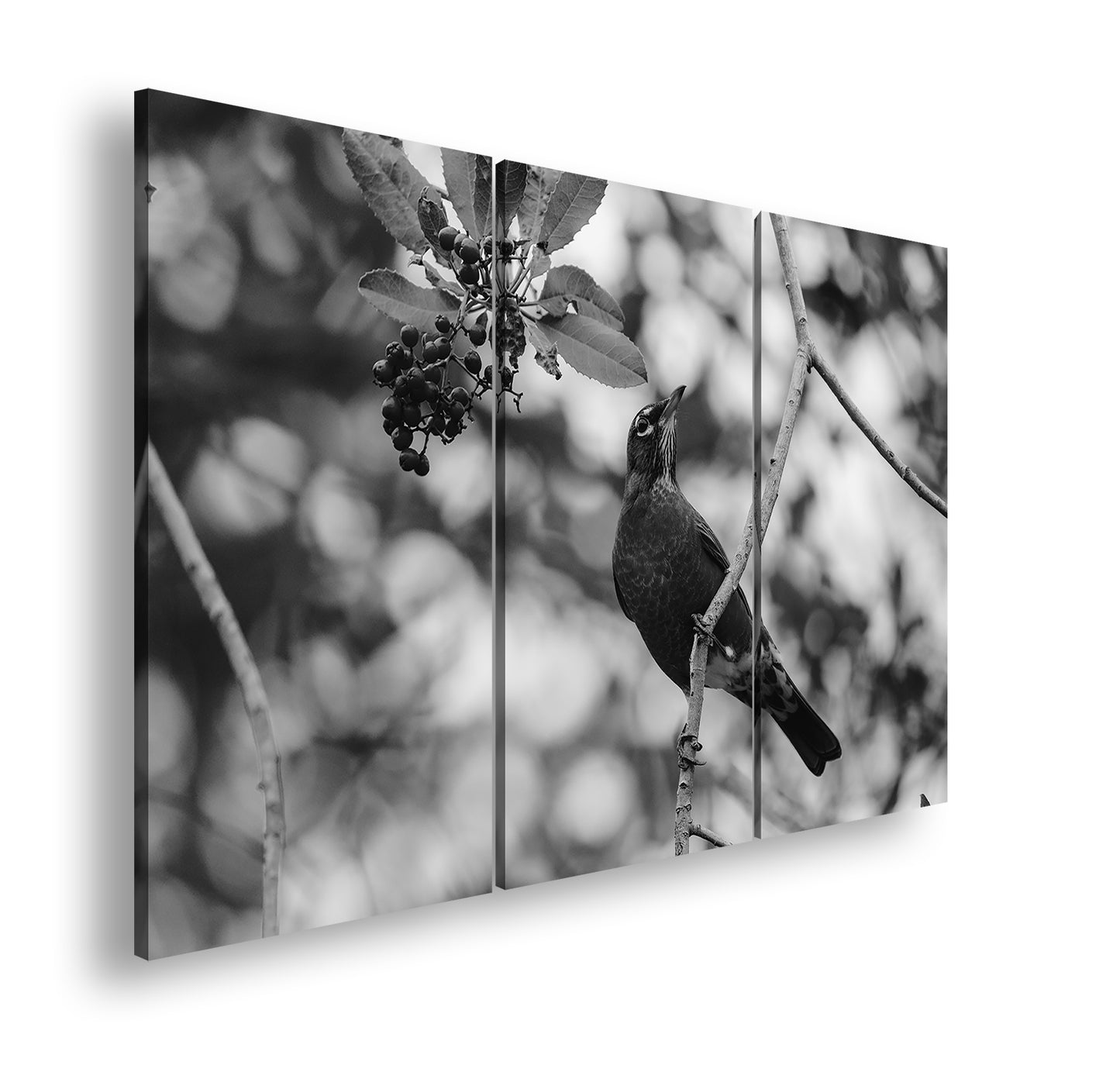 Hauptbild Schwarz & Weiß 3 Teilig