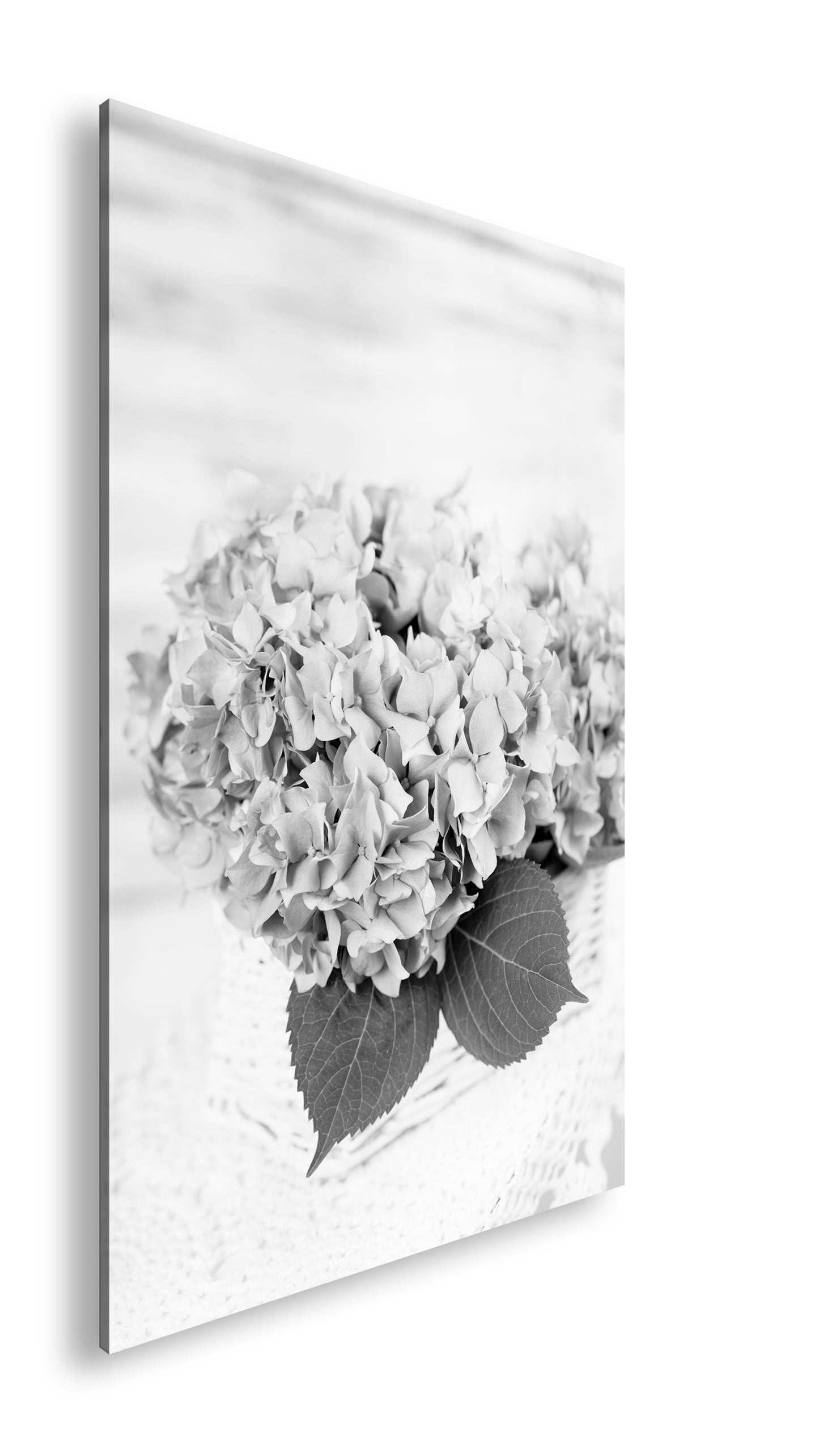 Hauptbild Schwarz & Weiß Standart