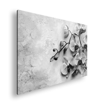 Hauptbild Schwarz & Weiß Standart